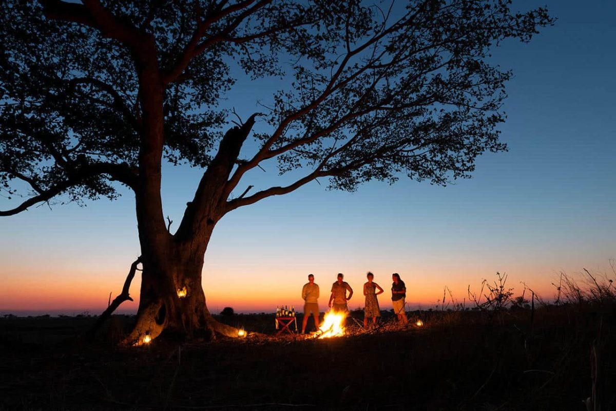 Cedarberg Travel | Busanga Plains Camp