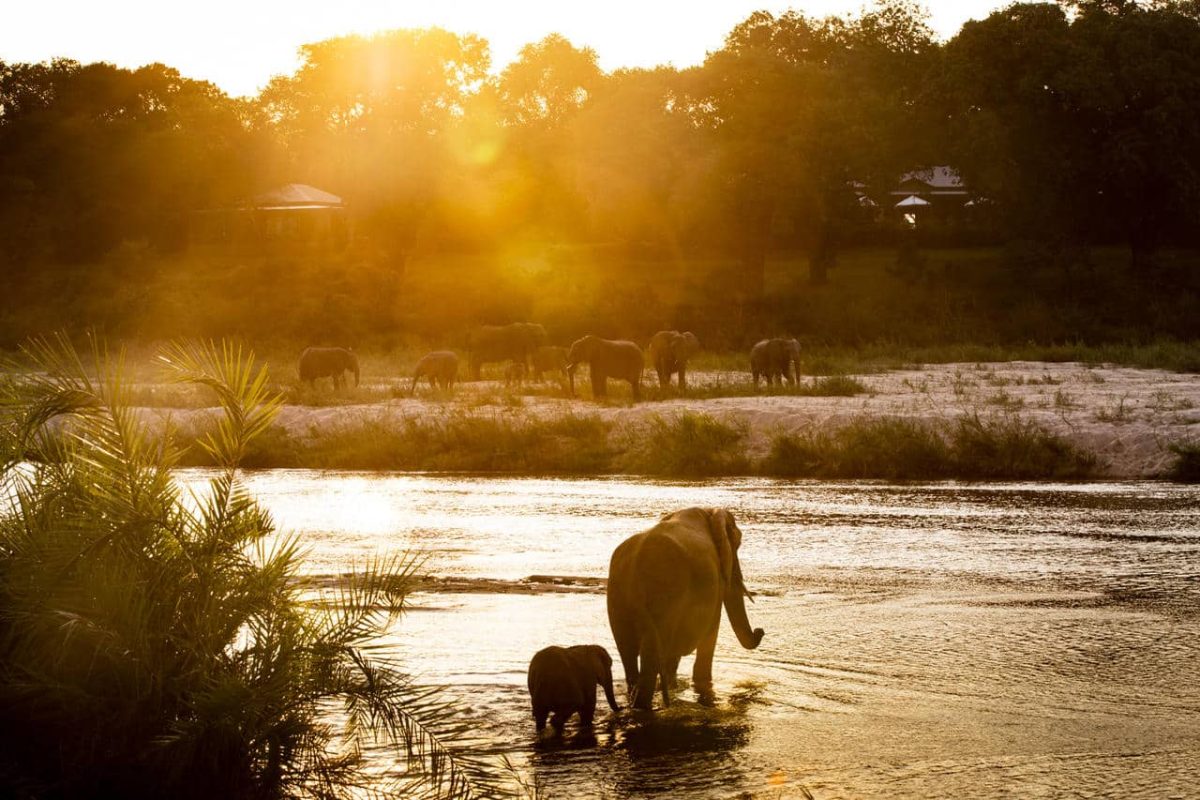 Cedarberg Travel | Rattray's on MalaMala