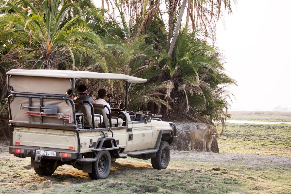 Cedarberg Travel | Chisa Busanga Camp