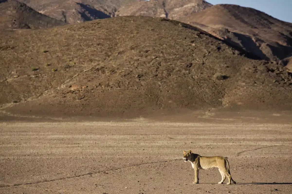 Cedarberg Travel | Hoanib Valley Camp
