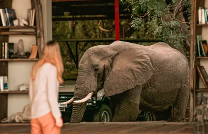 Why a Green Season safari is golden