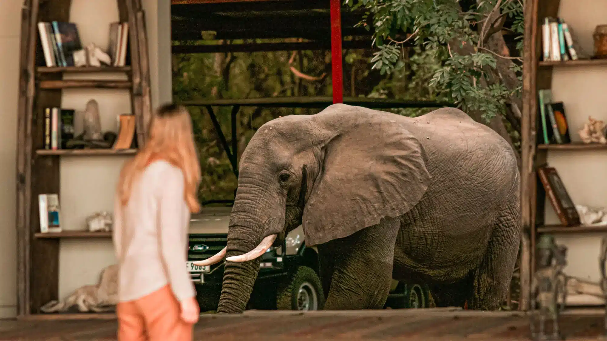 Why a Green Season safari is golden