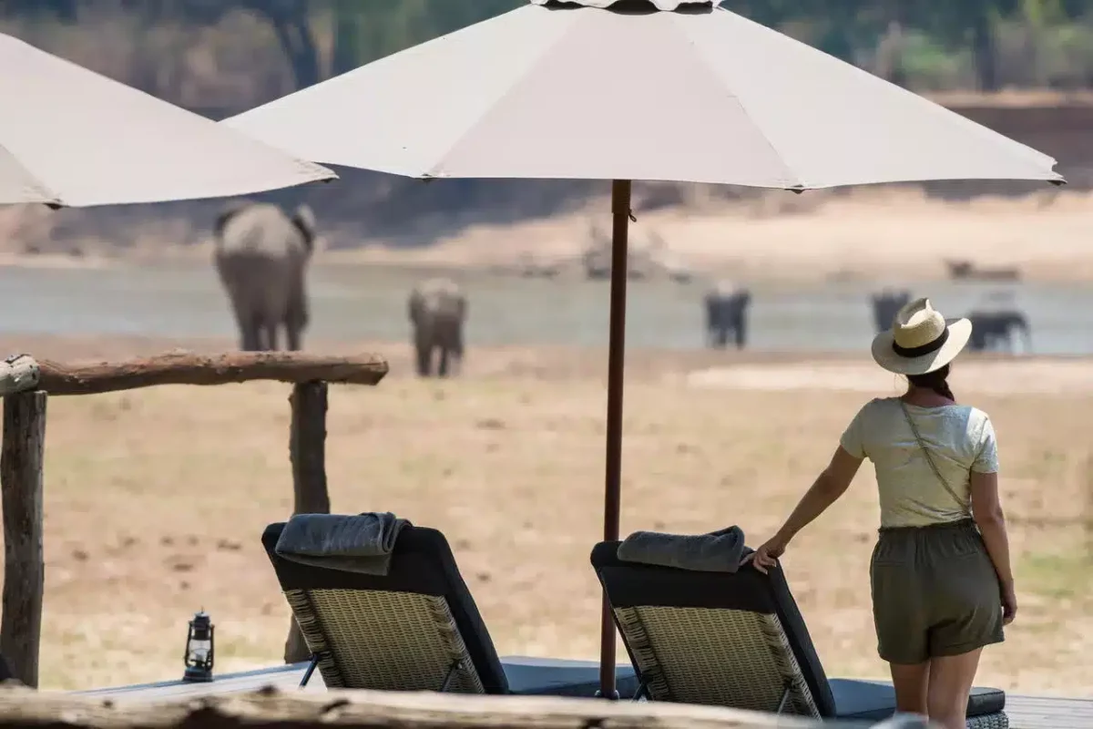 Cedarberg Travel | Shawa Luangwa Camp