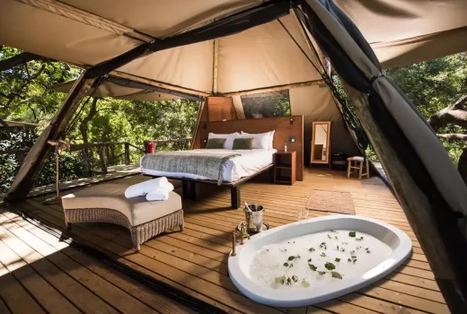 Luxury Tents