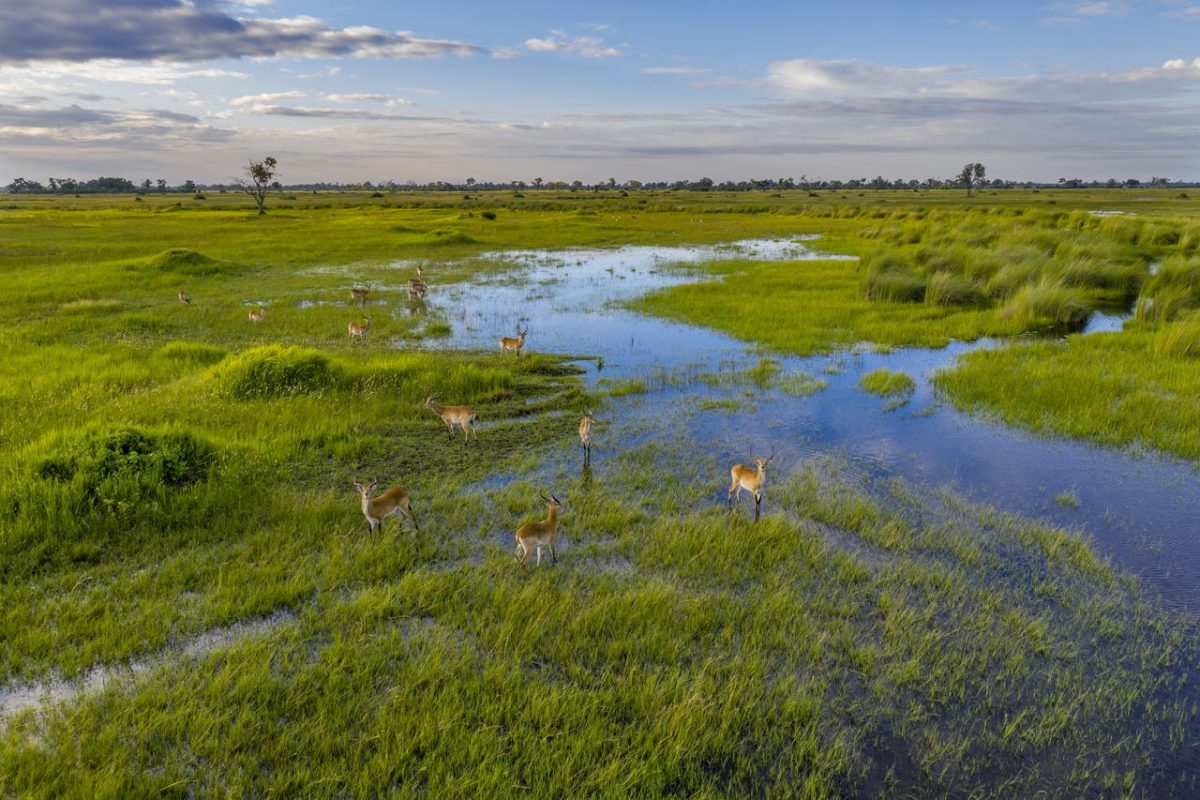 Cedarberg Travel | Sable Alley