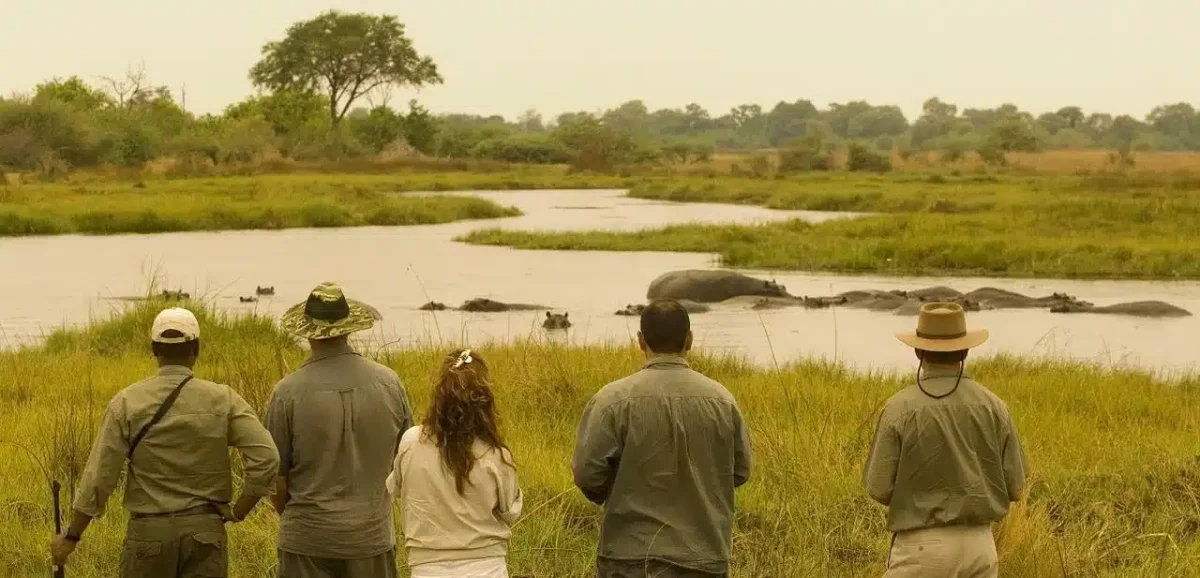 Cedarberg Travel | Atzaro Okavango Camp
