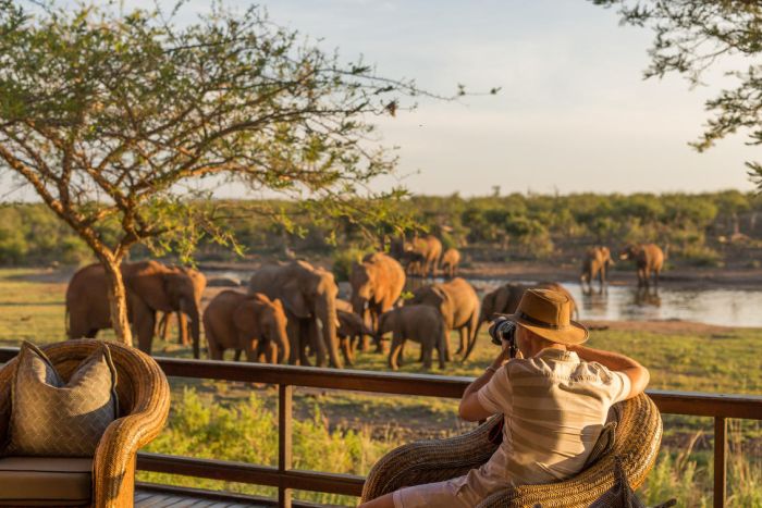 jamala_madikwe__sofa_safari_EDIT