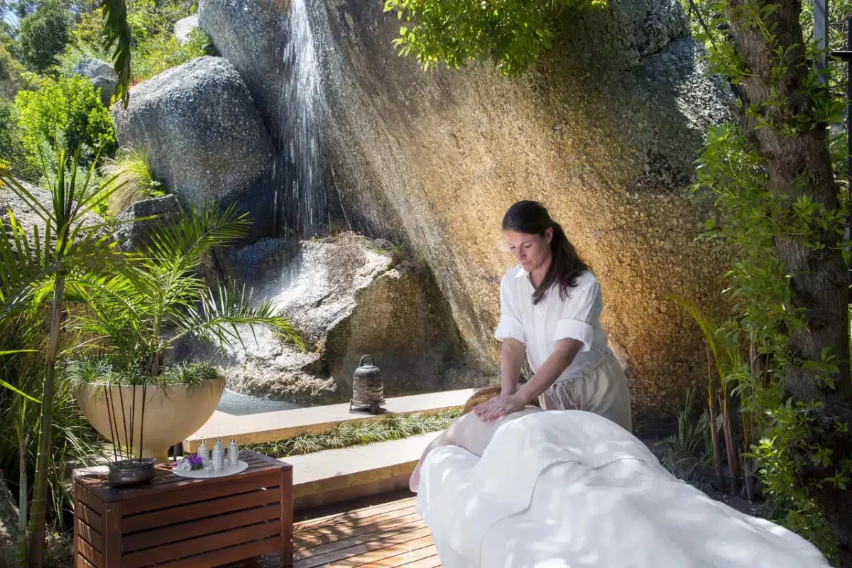 Cedarberg Travel | 21 Nettleton