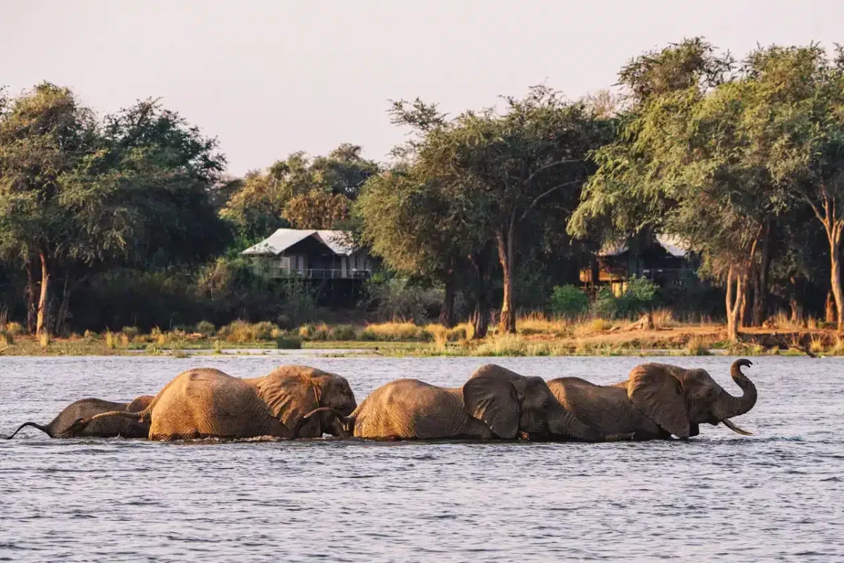 Cedarberg Travel | Anabezi Luxury Tented Camp