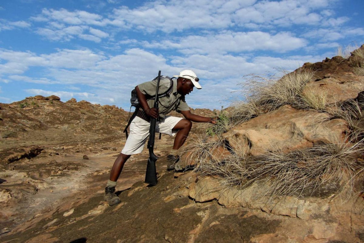 Cedarberg Travel | Mashatu Tuli Safari Lodge