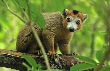 Best Time to Visit Madagascar: A month-by-month guide