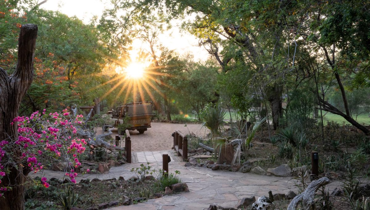 Cedarberg Travel | Mashatu Tuli Safari Lodge