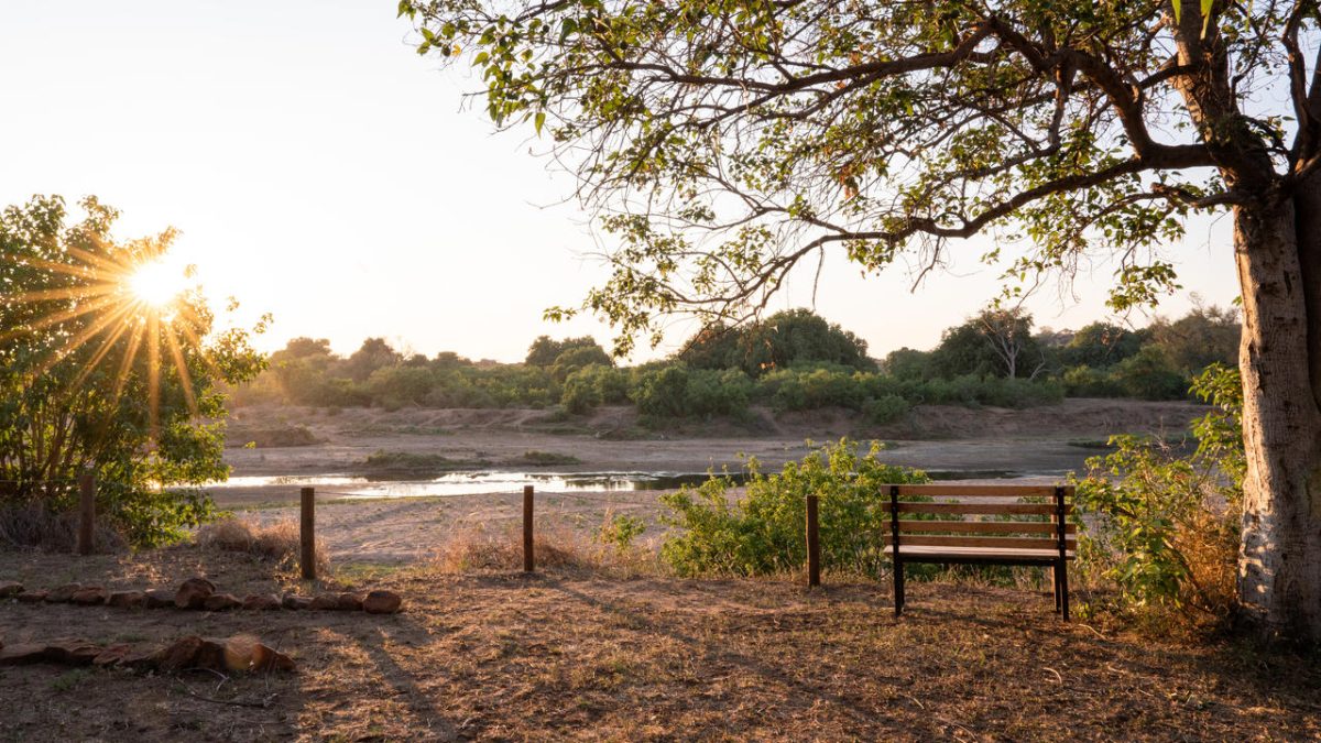 Cedarberg Travel | Mashatu Tuli Safari Lodge