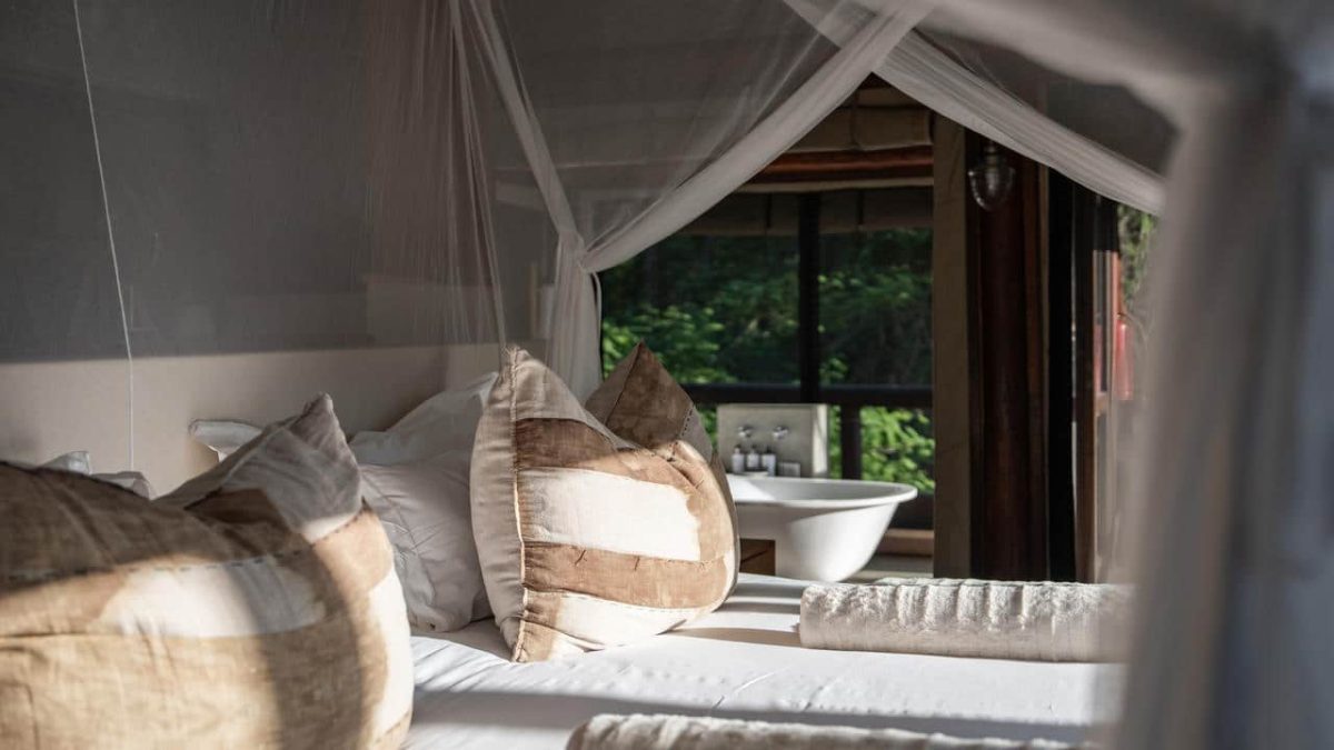 Cedarberg Travel | Mashatu Tuli Safari Lodge