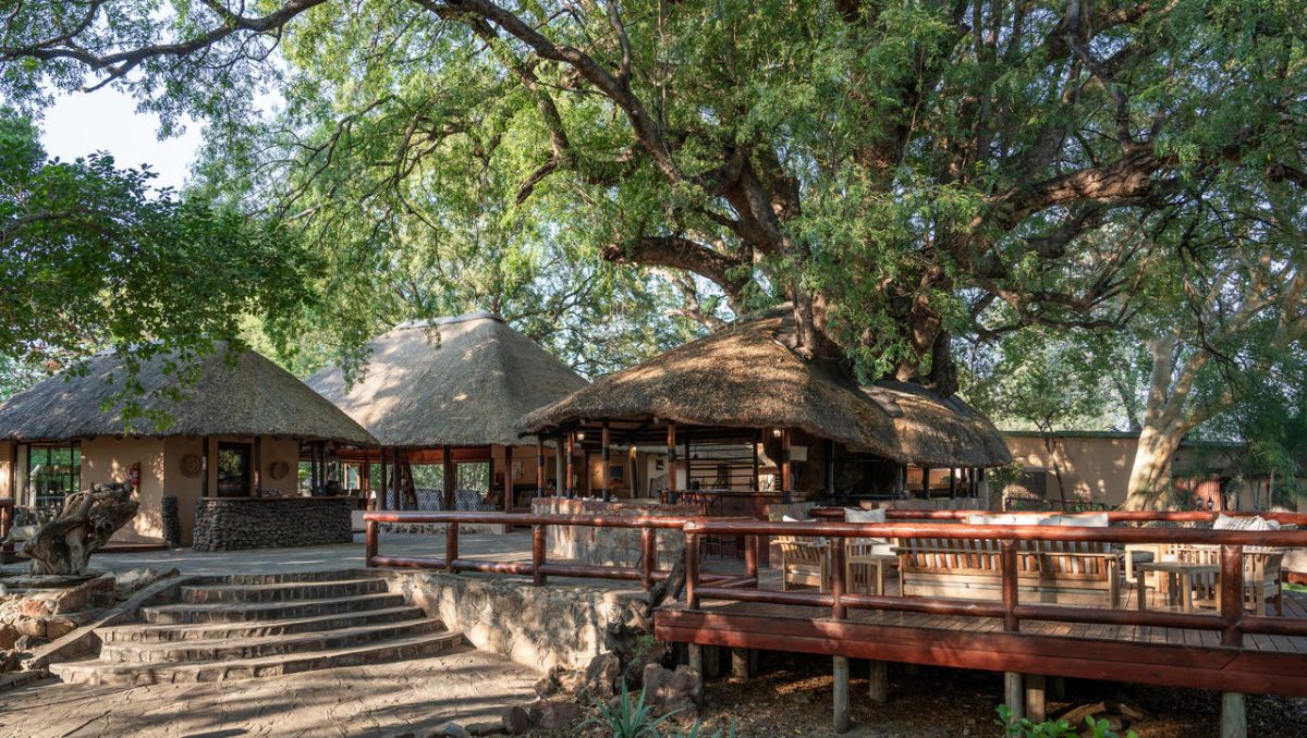 Cedarberg Travel | Mashatu Tuli Safari Lodge
