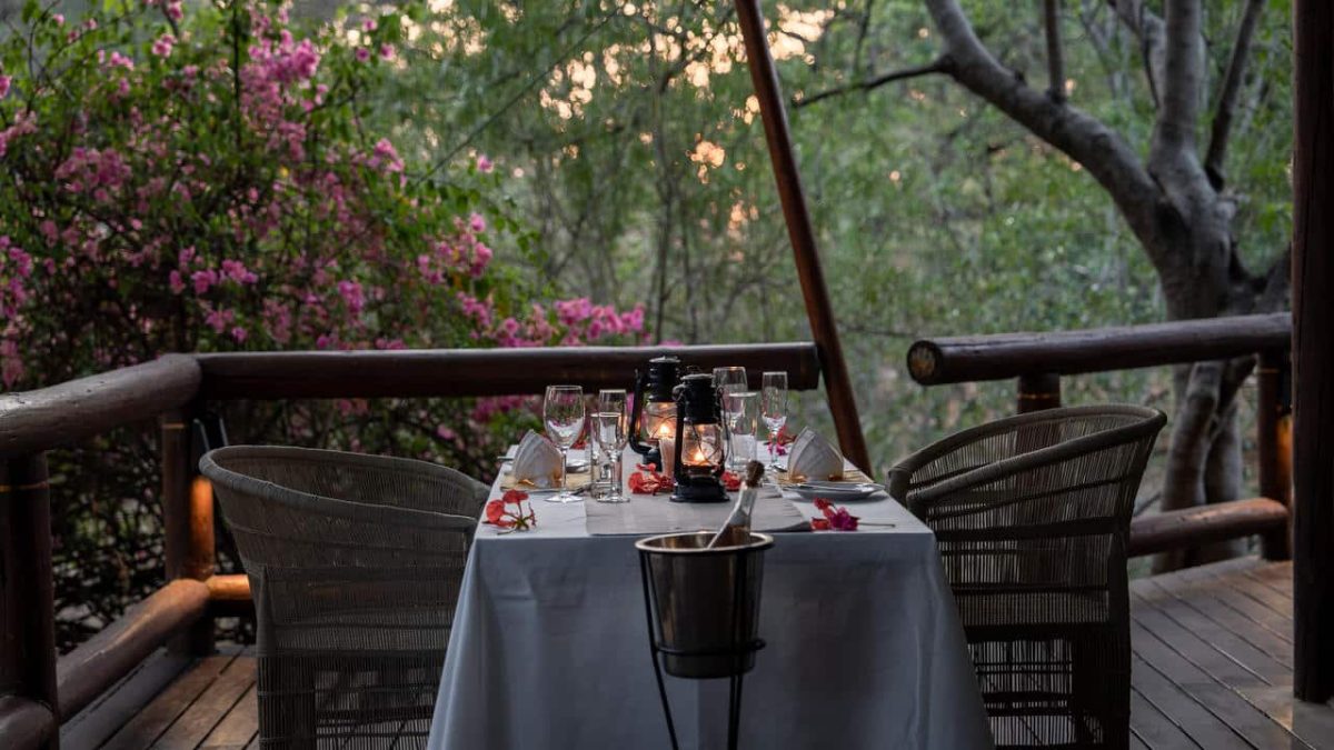 Cedarberg Travel | Mashatu Tuli Safari Lodge