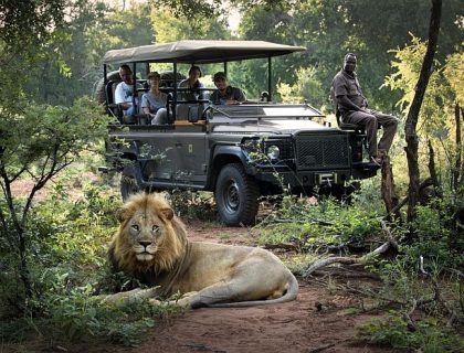 Green season safari in Madikwe Game Reserve