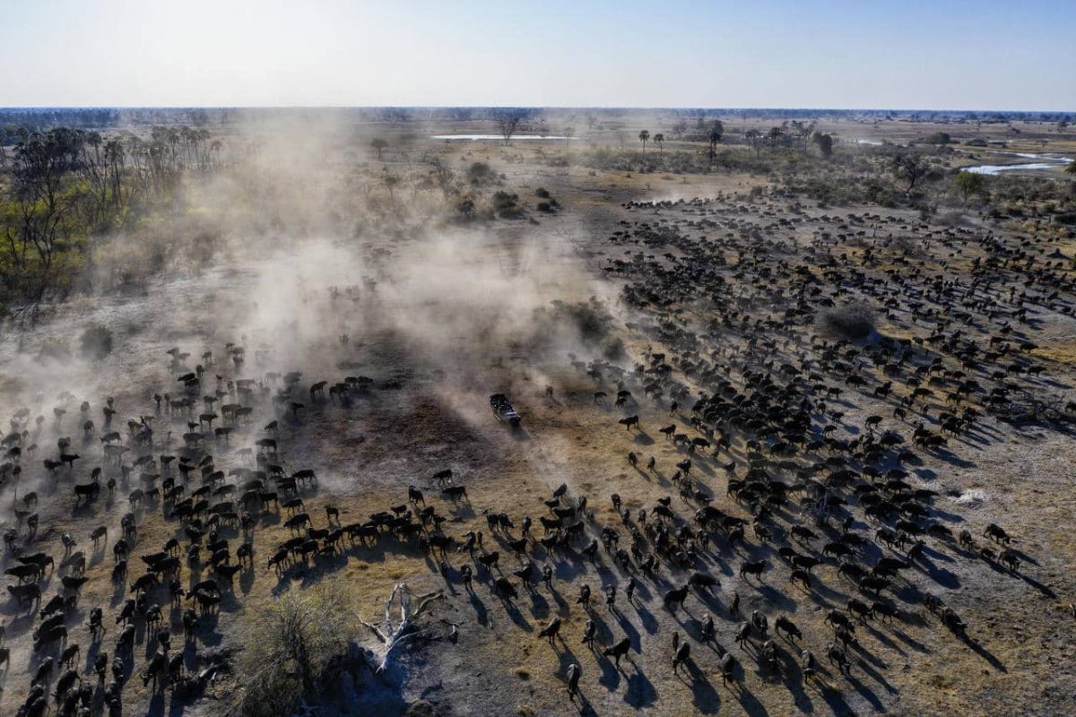 Cedarberg Travel | Gomoti Plains Camp