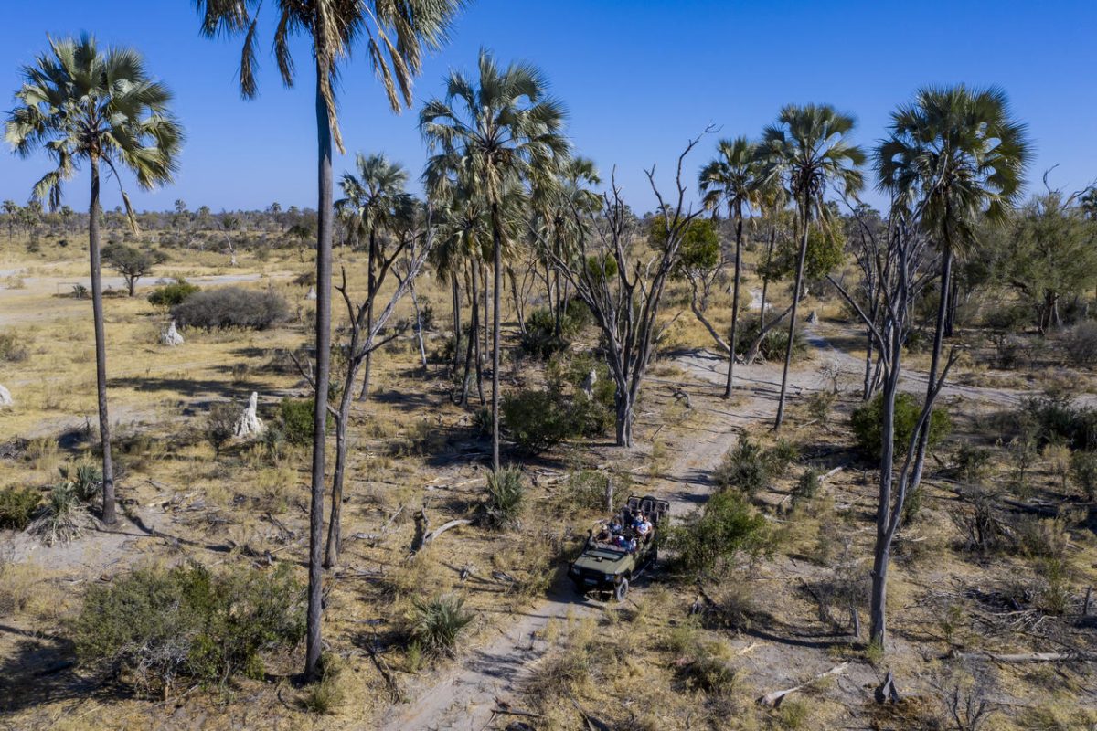 Cedarberg Travel | Gomoti Plains Camp