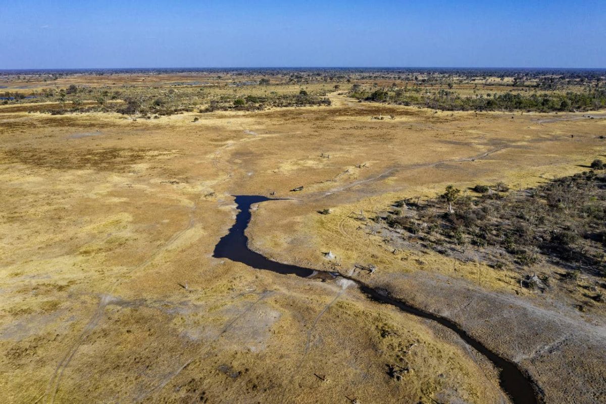 Cedarberg Travel | Gomoti Plains Camp