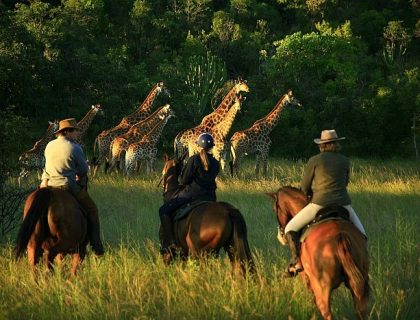 Horse-riding in Waterberg