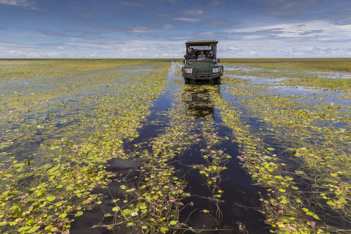 Cedarberg Travel | King Lewanika