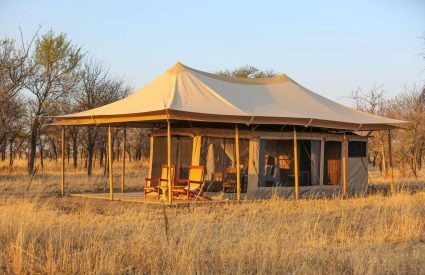 Intimate Camp Seronera