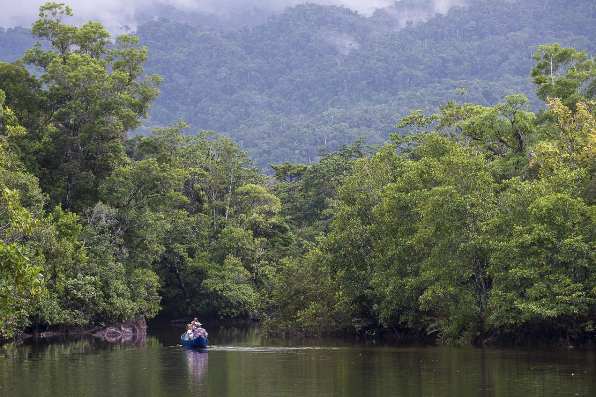 Cedarberg Travel | Masoala Forest Lodge