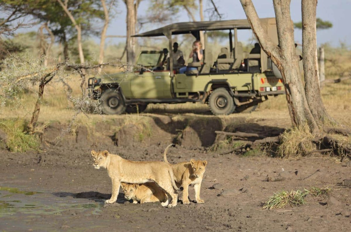 Cedarberg Travel | Ubuntu Migration Camp