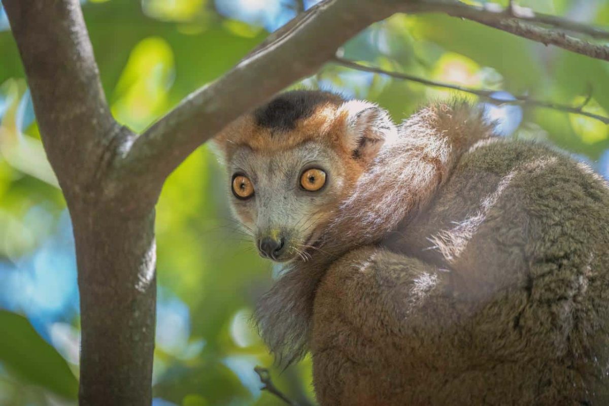 Cedarberg Travel | Miavana by Time + Tide