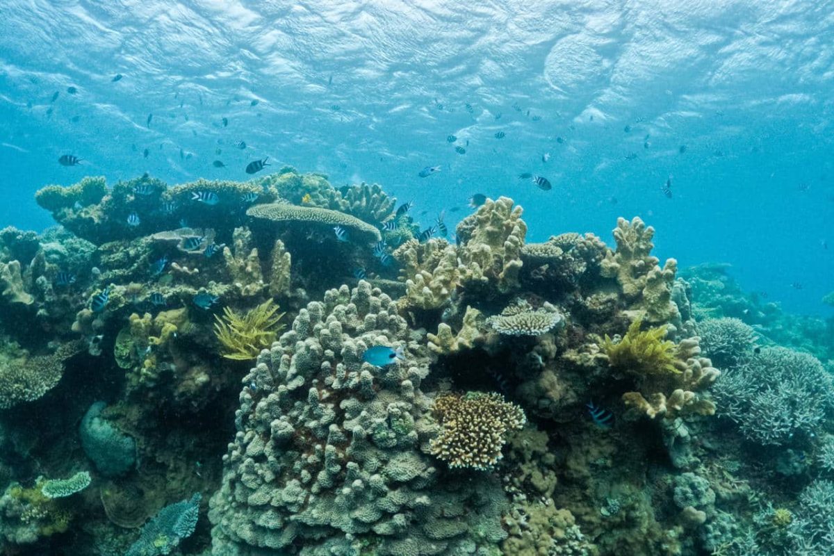 Cedarberg Travel | Miavana by Time + Tide