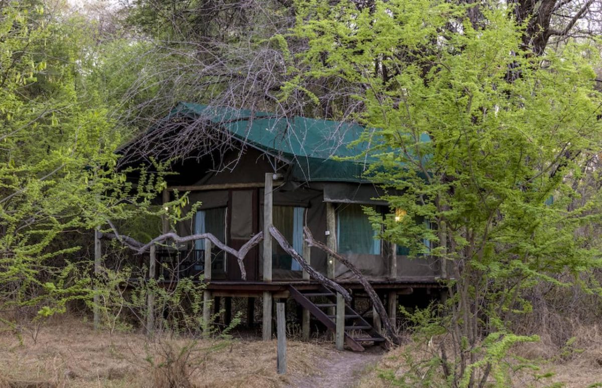 Cedarberg Travel | Thamo Telele