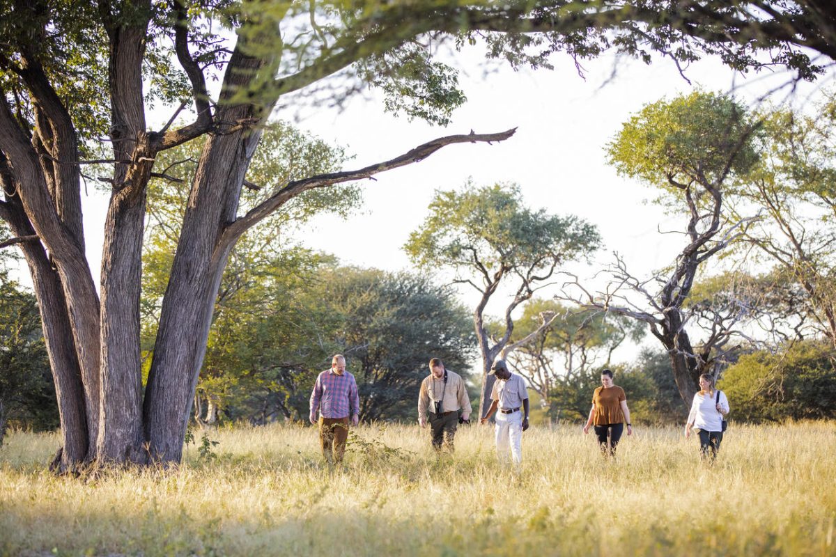 Cedarberg Travel | Thamo Telele