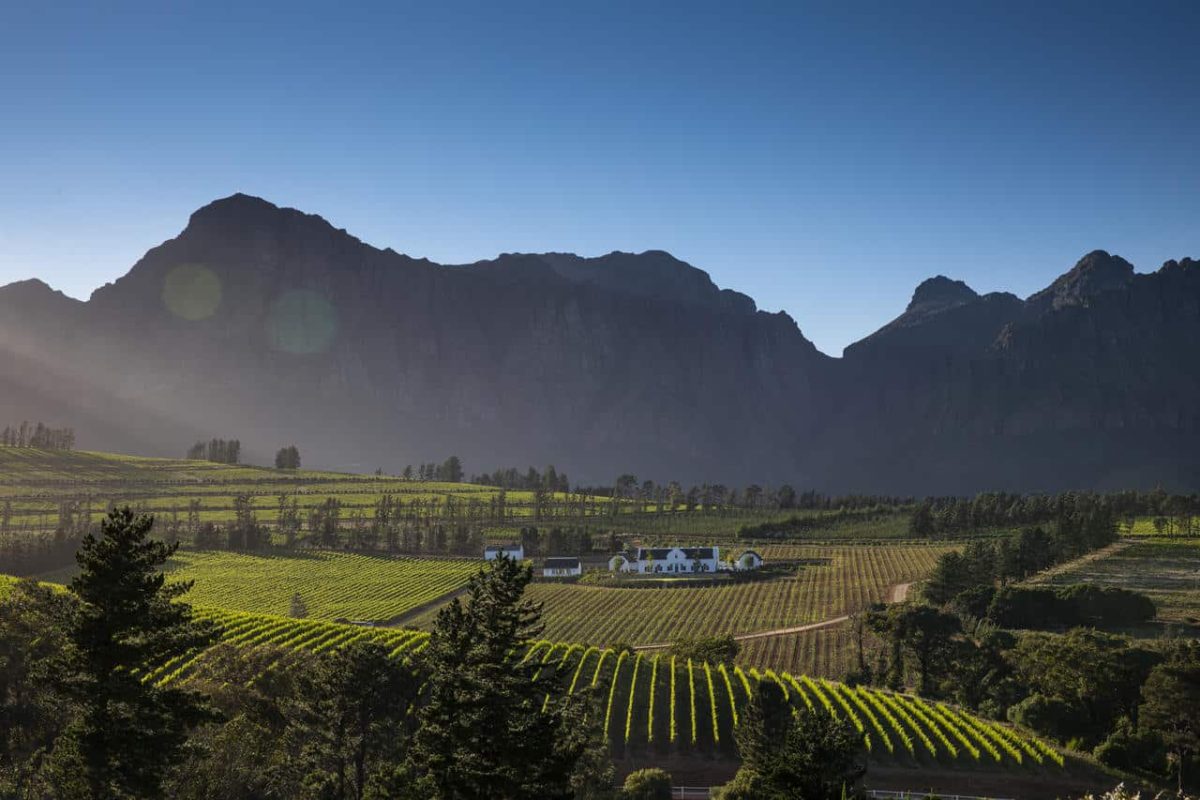  South Africa Trip Ideas - vineyards in Cape Winelands