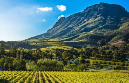 Unveiling Africa’s Enchantment: Our Top 10 Luxury Lodges in Africa for Your Dream 2025 Trip Adventure