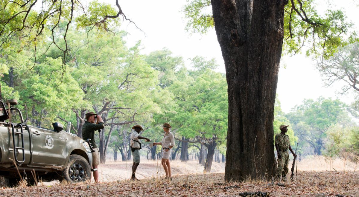 Cedarberg Travel | Kaingo Camp