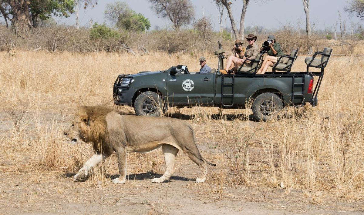 Cedarberg Travel | Kaingo Camp