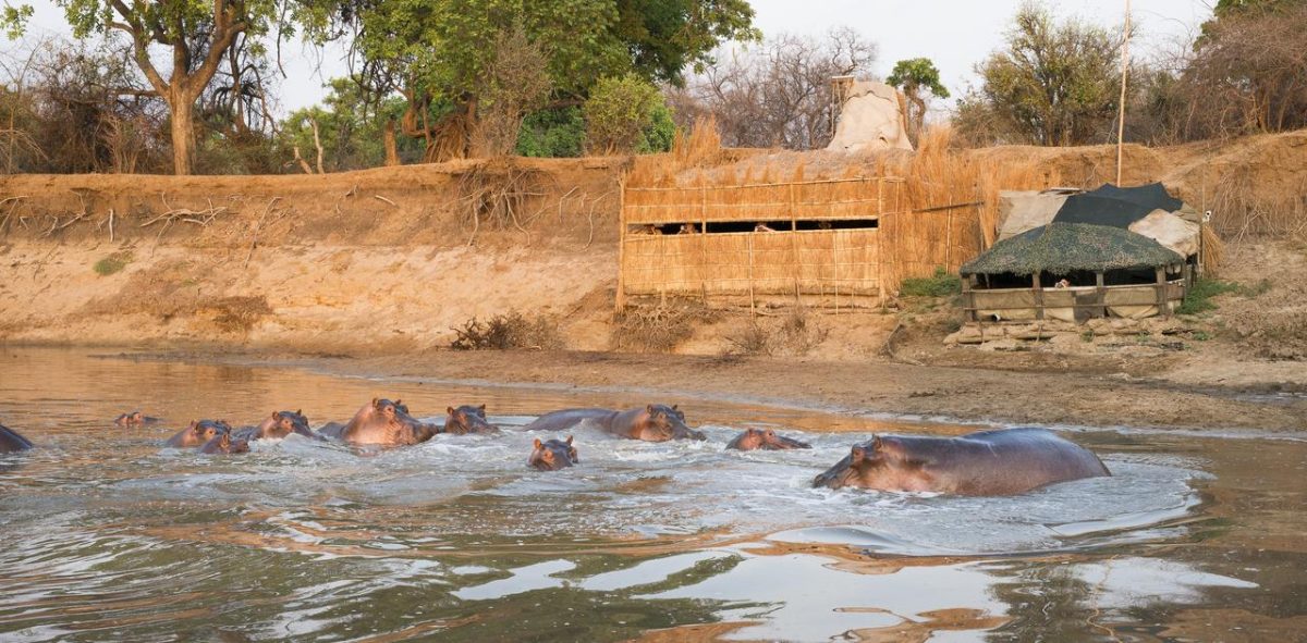 Cedarberg Travel | Kaingo Camp