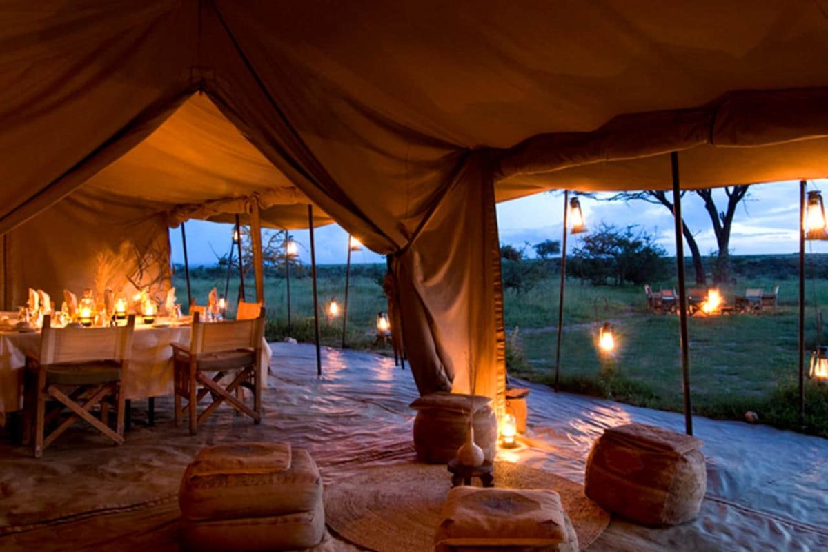 Cedarberg Travel | Ubuntu Migration Camp