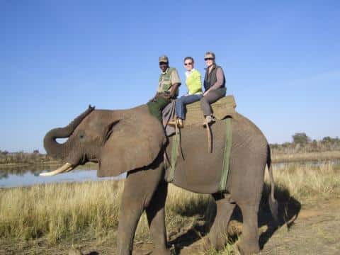 Cedarberg Travel | Sonja Brand