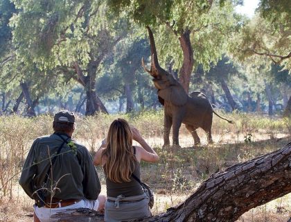 Mana Pools - Zimbabwe luxury honeymoon