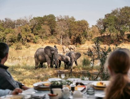 Deck game-viewing in the Timbavati game reserve