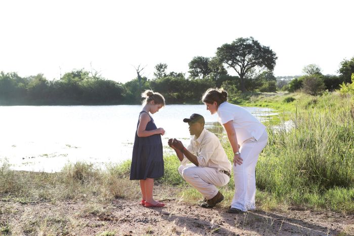 Image courtesy of Londolozi Varty Camp