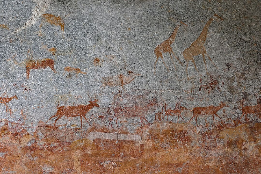 Rock art in the Matobo National park