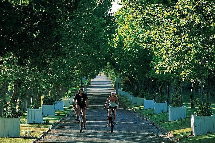 Romantic country lodges in the Cape Winelands