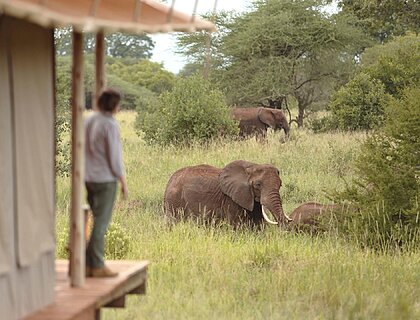 Highlights of Tanzania