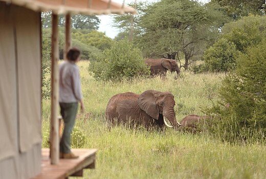 Highlights of Tanzania