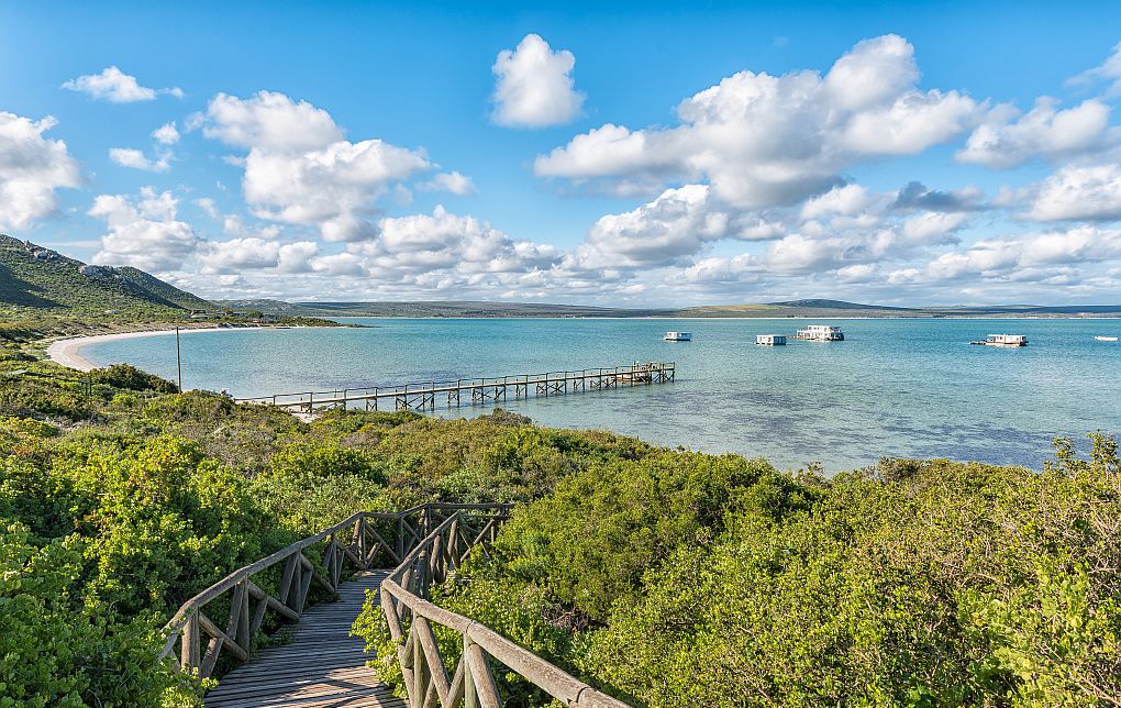 Kraaibaai near Langebaan, cape West Coast