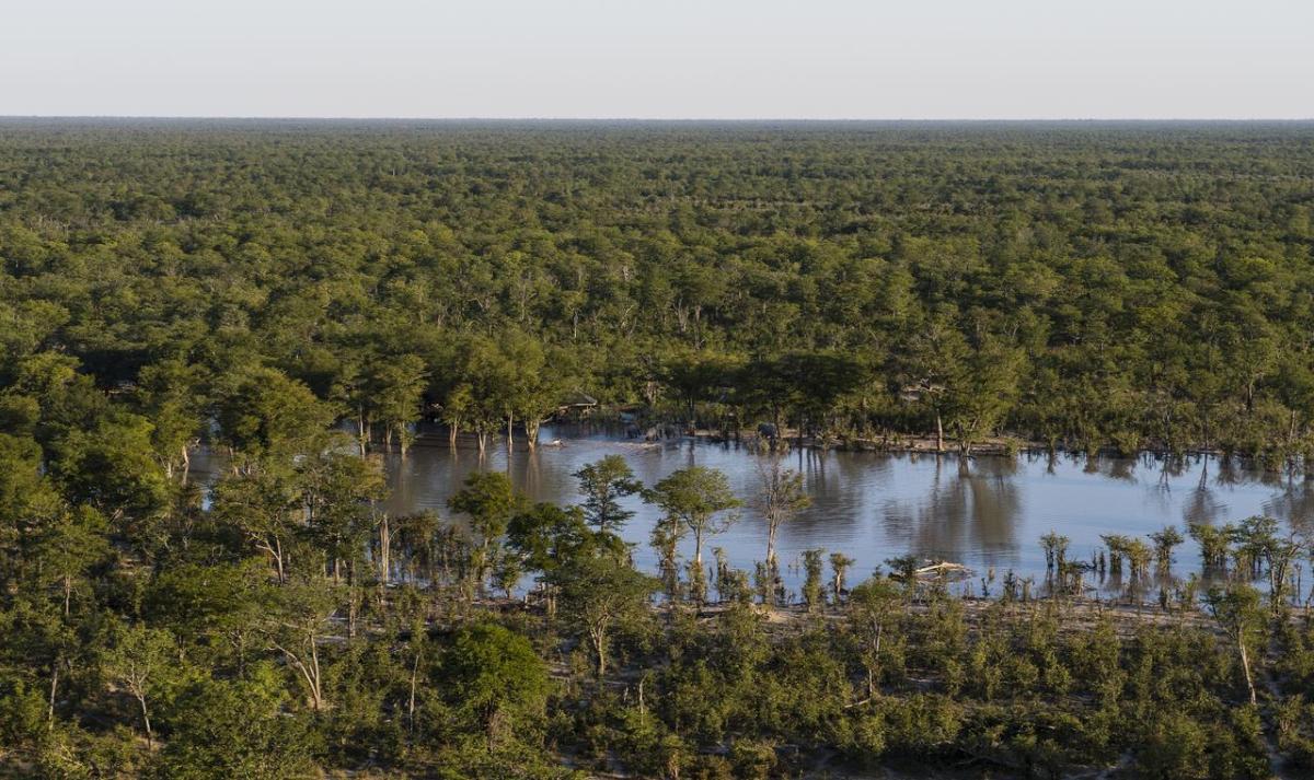 Cedarberg Travel | Elephant Pan Camp