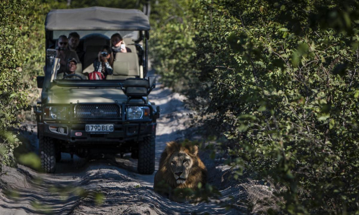 Cedarberg Travel | Elephant Pan Camp
